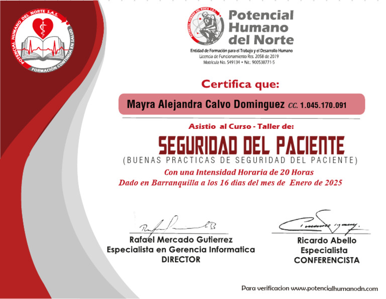 Curso de Seguridad del Paciente 2025 | PDF