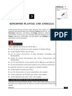 Classification of Plants