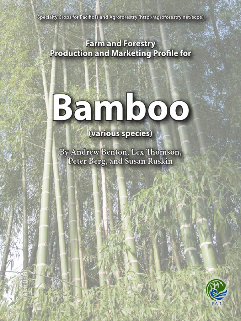 Bamboo Species and Their Uses | PDF | Bamboo | Root