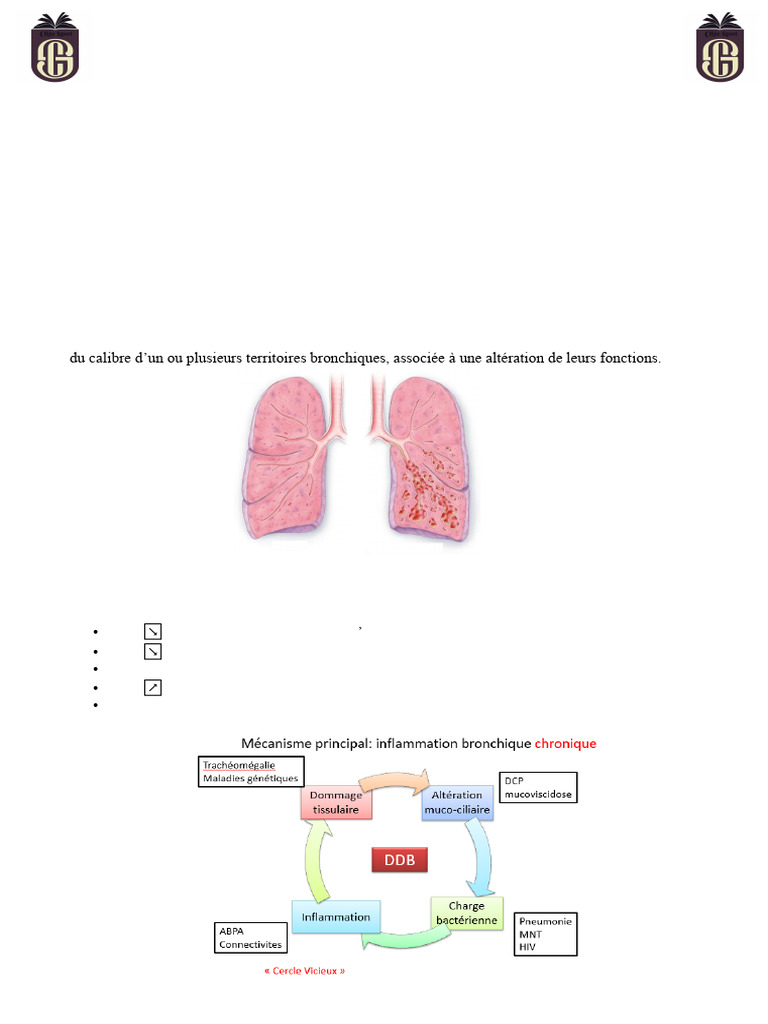 Dilatation des bronches : DDB kystique | PDF | Spécialités médicales ...