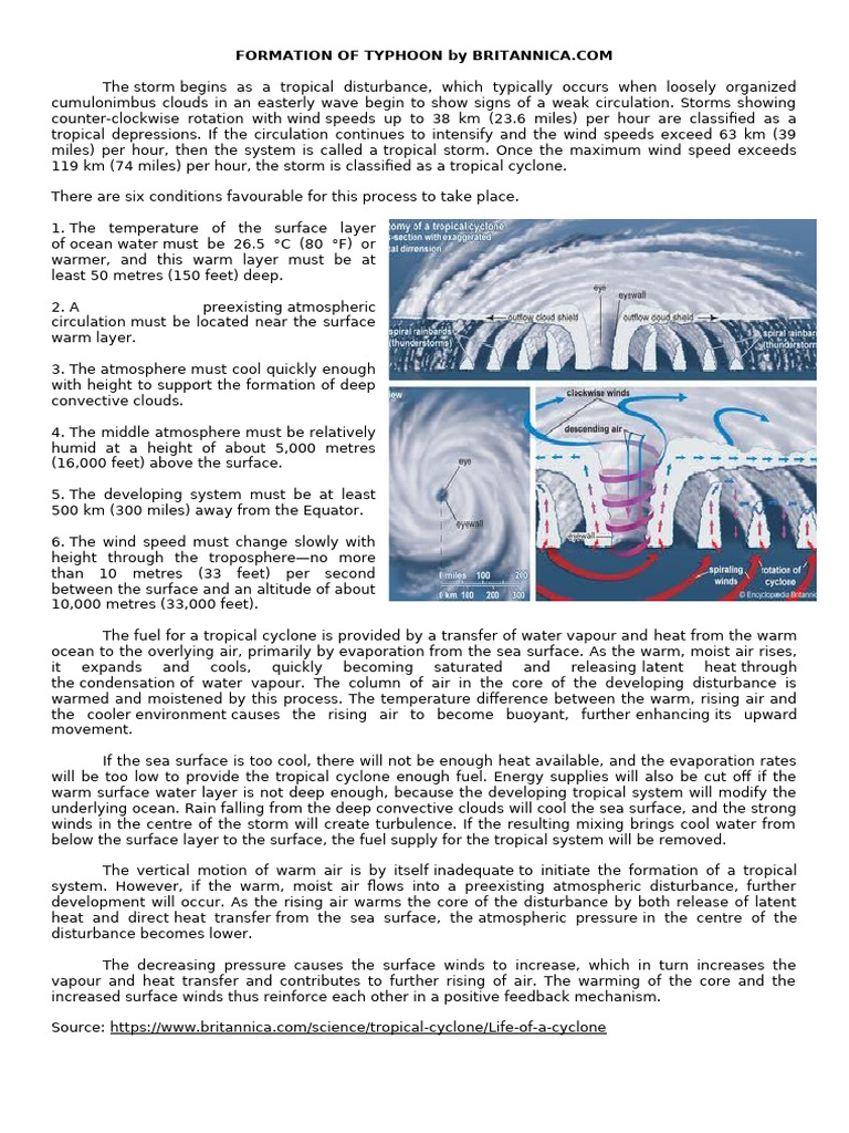 How Typhoons Form: Key Conditions Explained | PDF | Tropical Cyclones ...