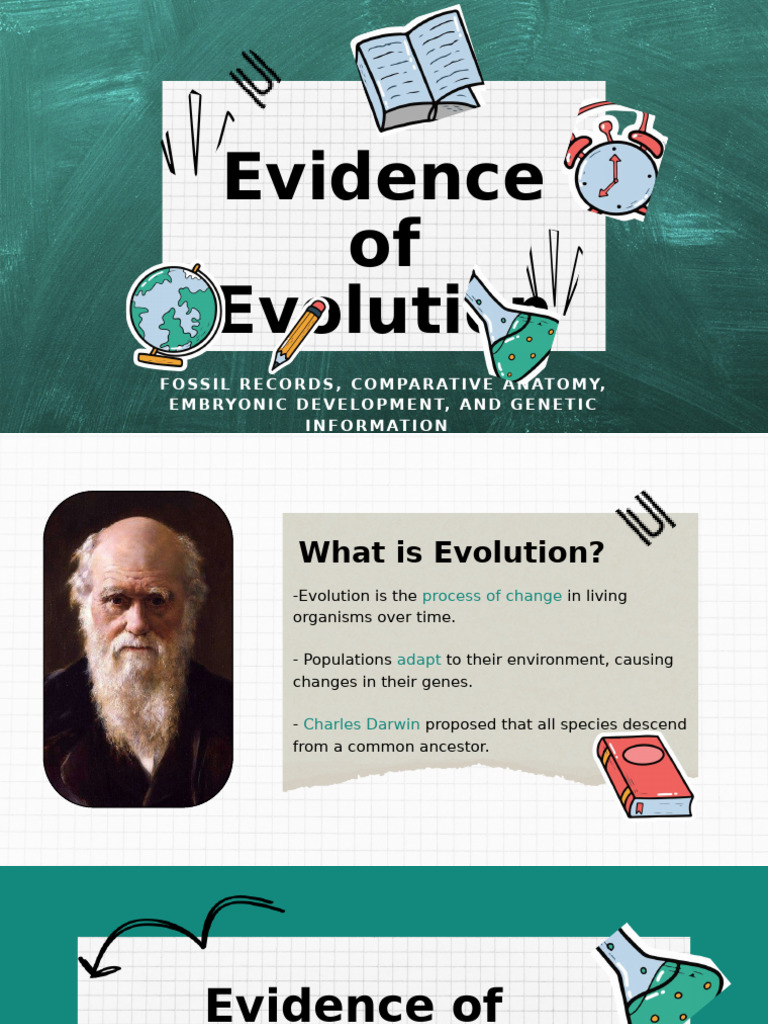 Evidence Supporting Evolutionary Theory | PDF | Evolution | Homology ...