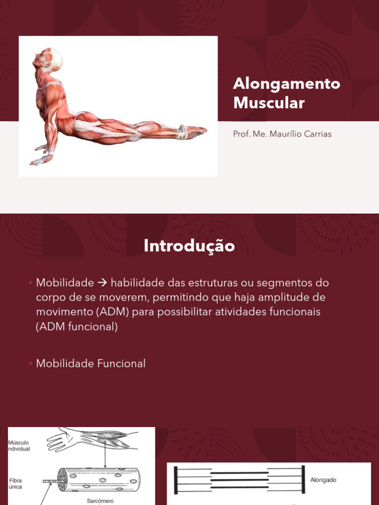 Benefícios e Cuidados do Alongamento Muscular | PDF | Flexibilidade ...