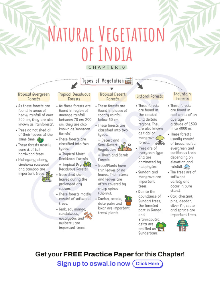 Types of Natural Vegetation in India | PDF | Forests | Trees