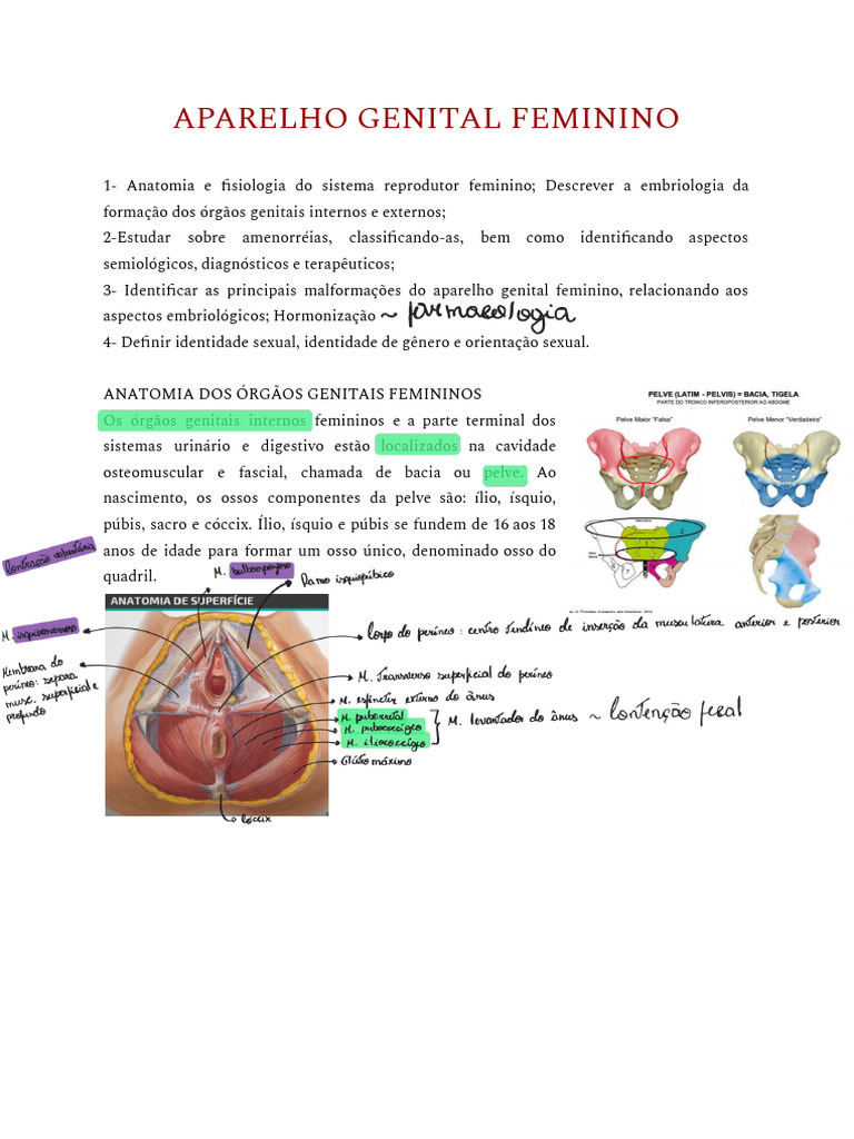 que es la antartida instituto ant rtico uruguayo