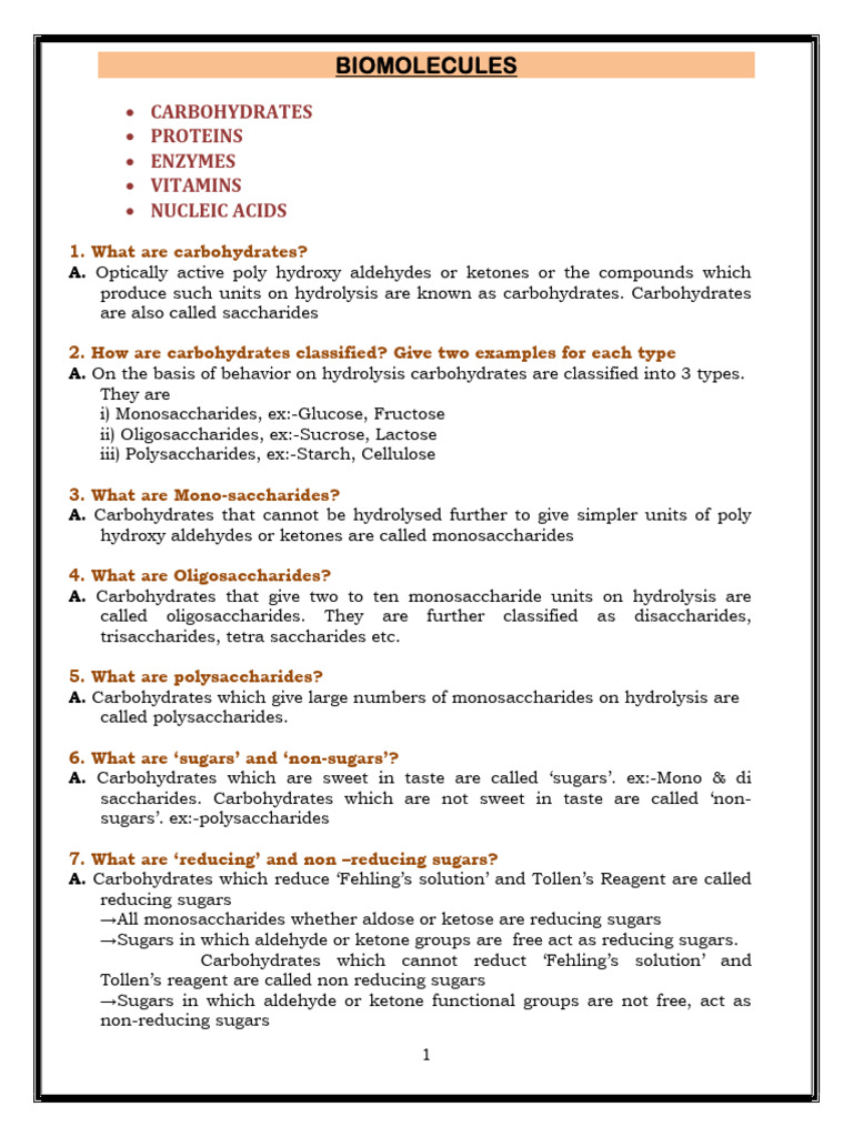 Understanding Biomolecules: Carbs & Proteins | PDF | Carbohydrates | Rna