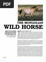 Zebra Taxonomy and Classification | PDF | Zebra | Equus (Genus)