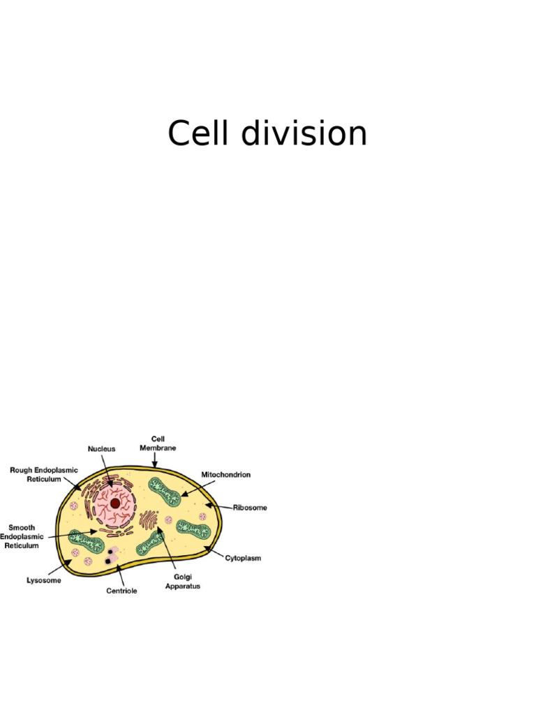 Cell Division | PDF
