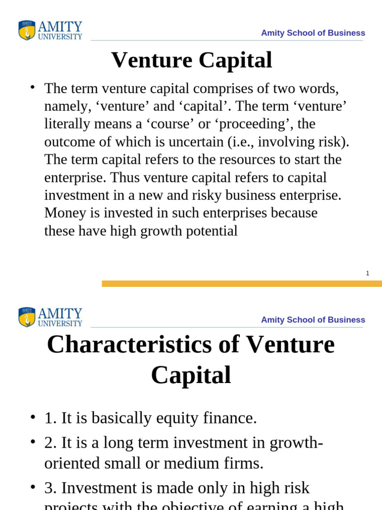 Venture Capital Insights & Strategies | PDF | Corporate Finance ...