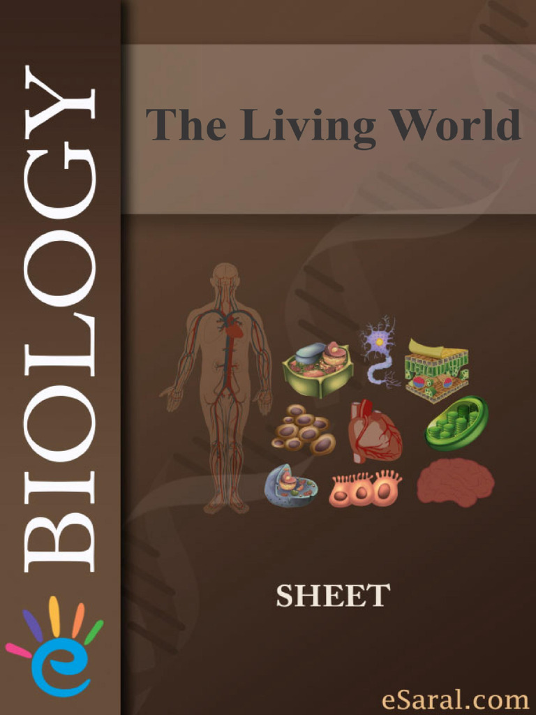 Open Book | PDF
