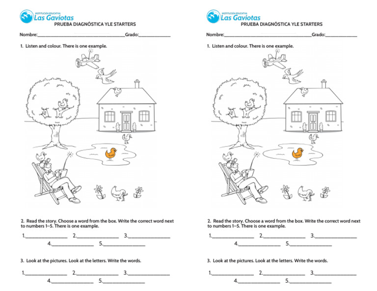 YLE Starters Diagnostic Test Template | PDF