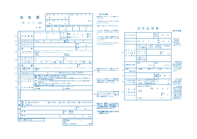 Birth Certificate Pdf