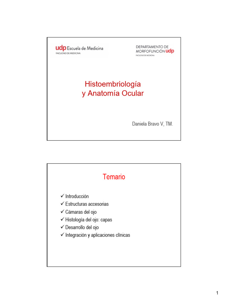 Clase+Anatom%C3%ADa+e+Histoembriolog%C3%ADa+del+Ojo | PDF | Epitelio | Ojo