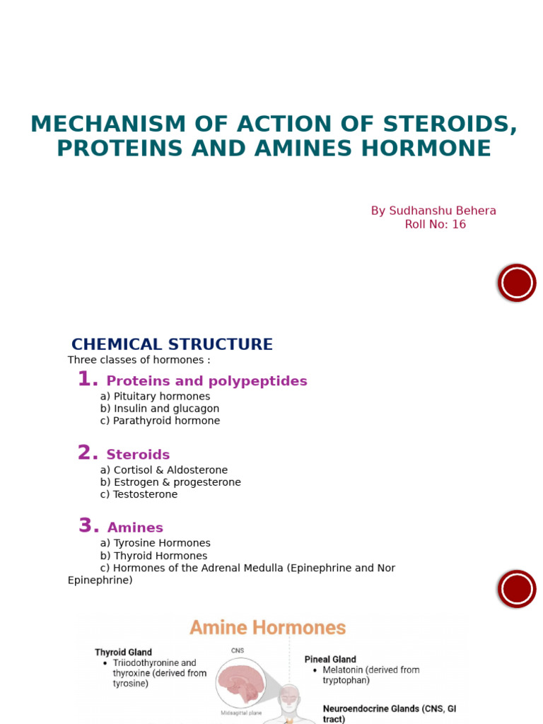 Mechanism of Action of Steroids, Proteins and Amines | PDF