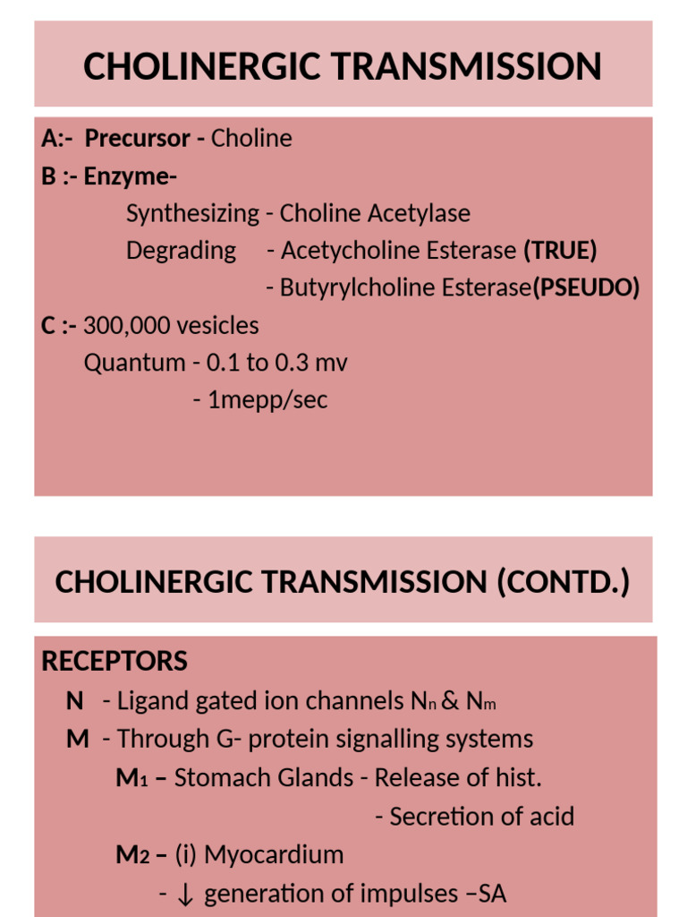 Cholinergic Transmission Overview | PDF | Acetylcholine | Drugs Acting ...