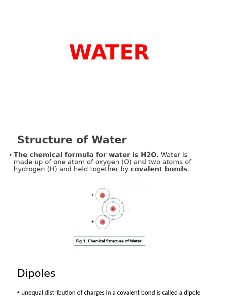 WATER | PDF