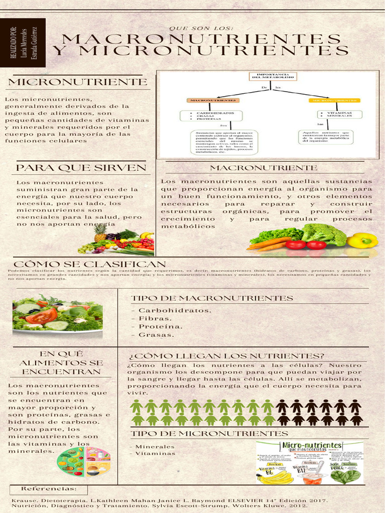 Infografía Sobre Macronutrientes Y Micronutrientes Pdf Nutrientes