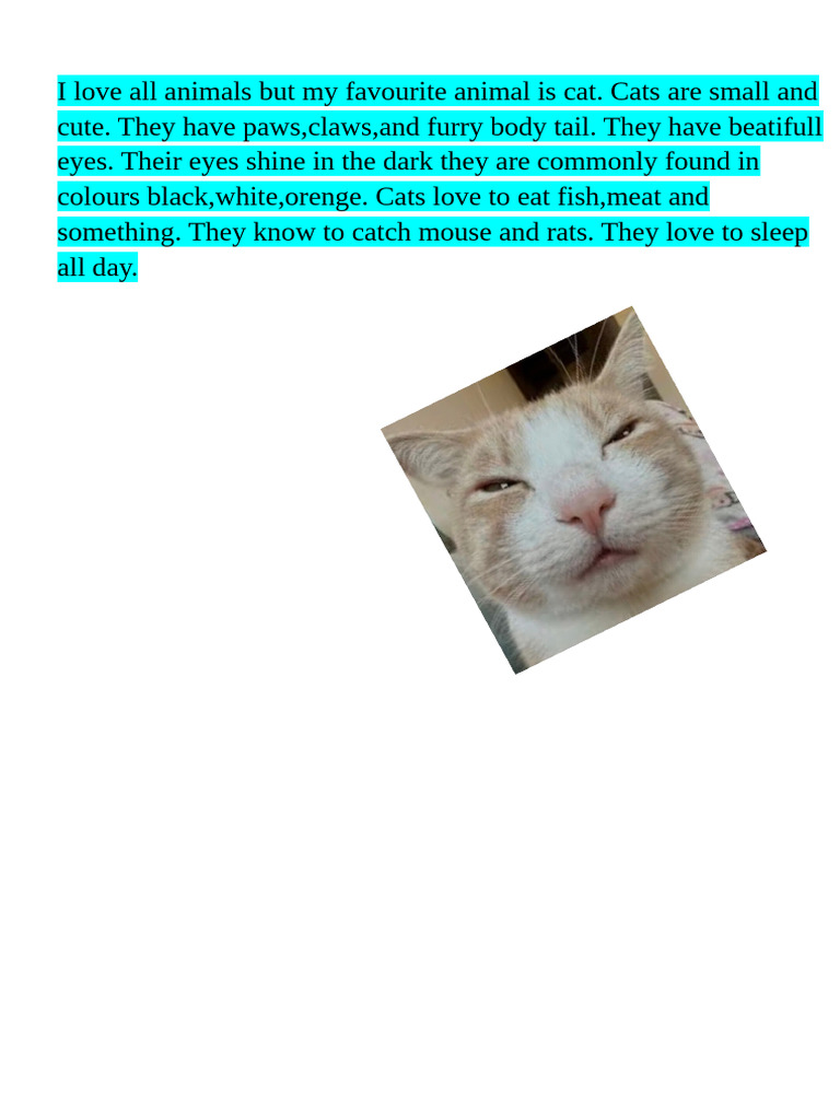 cats power | PDF
