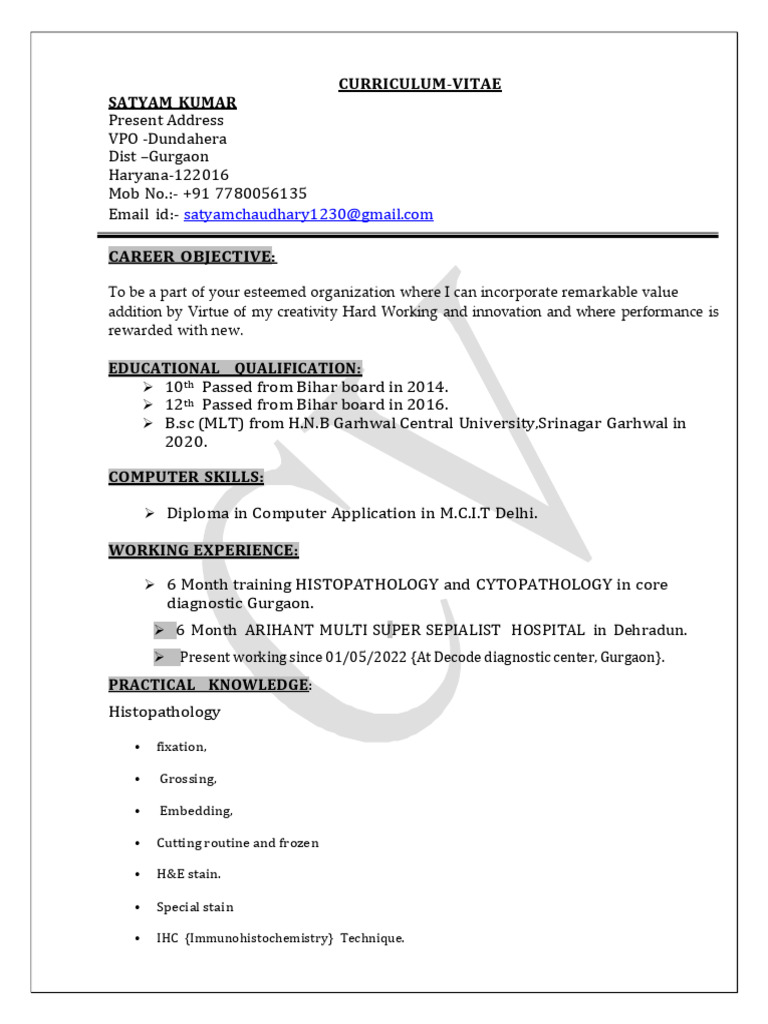 Satyam Kumar's Professional CV | PDF