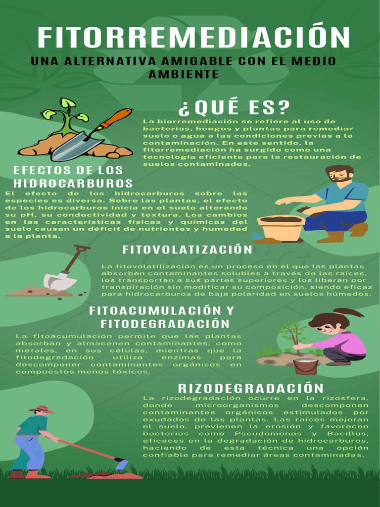Fitorremediación: Soluciones Ecológicas | PDF