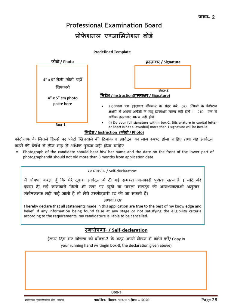 Professional Examination Board: Predefined Template | PDF