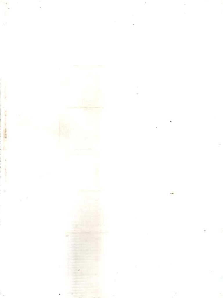 Blank 2 | PDF