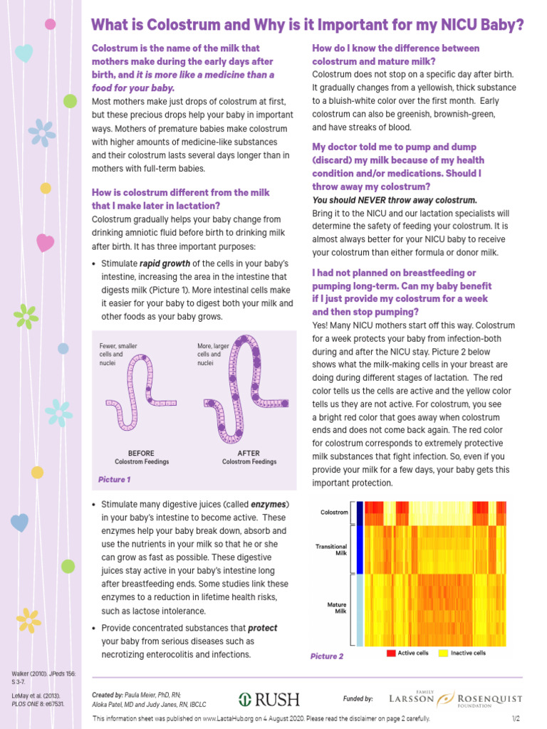 Importance of Colostrum for NICU Babies | PDF | Breast Milk | Lactation