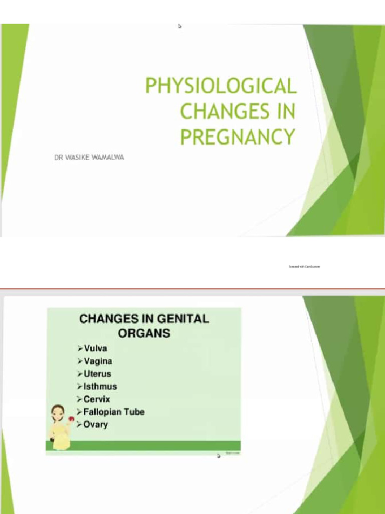 Physiological Changes in Pregnancy | PDF