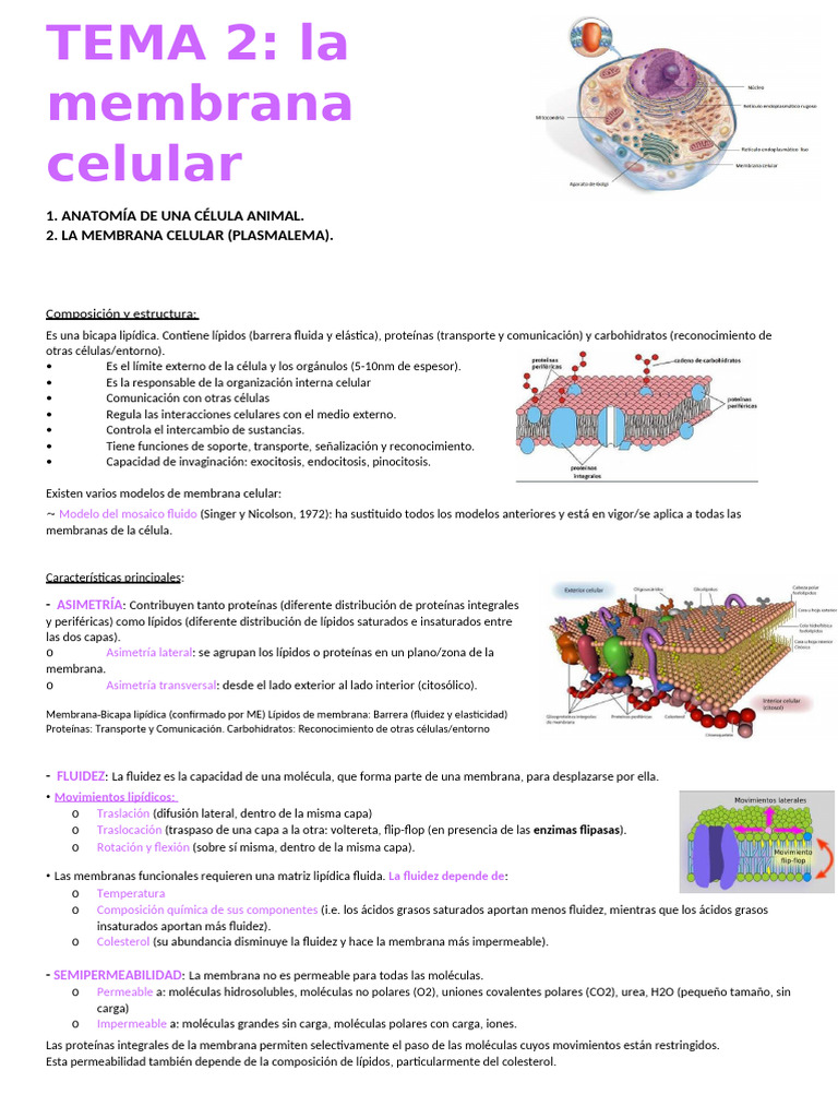 Estructura y Funciones de la Membrana Celular | PDF | Membrana ...