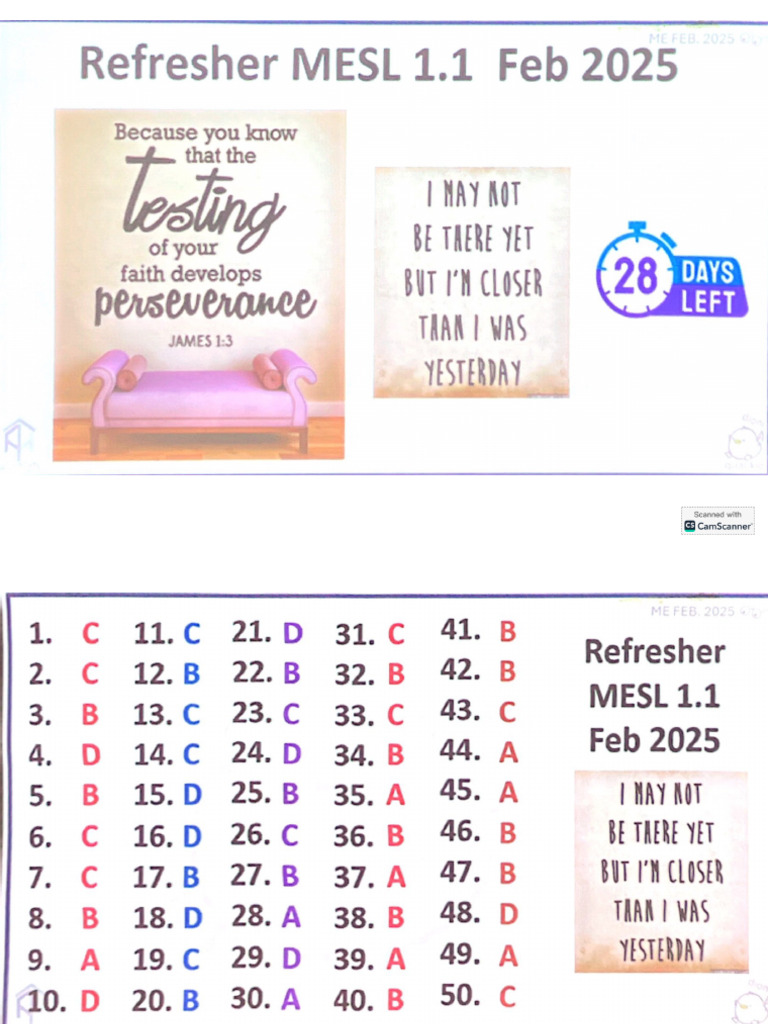 Mesl Refresher 01 | PDF