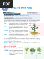 Parts of a Plant for Grade 3 | PDF | Flowers | Petal