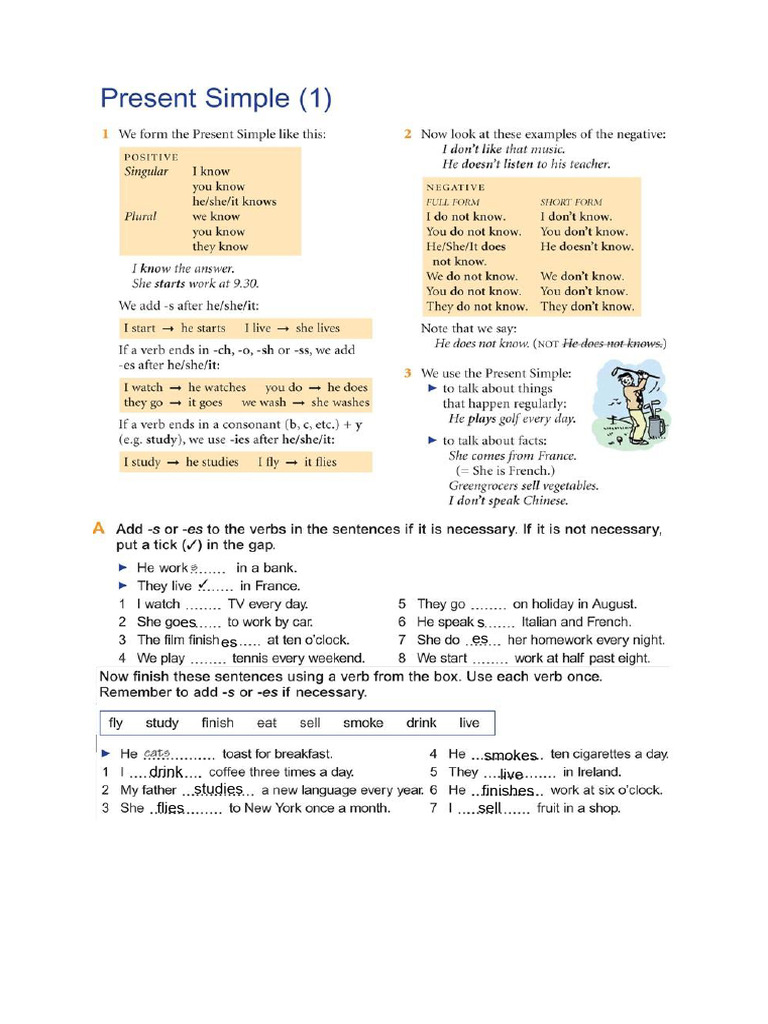 Present Simple | PDF