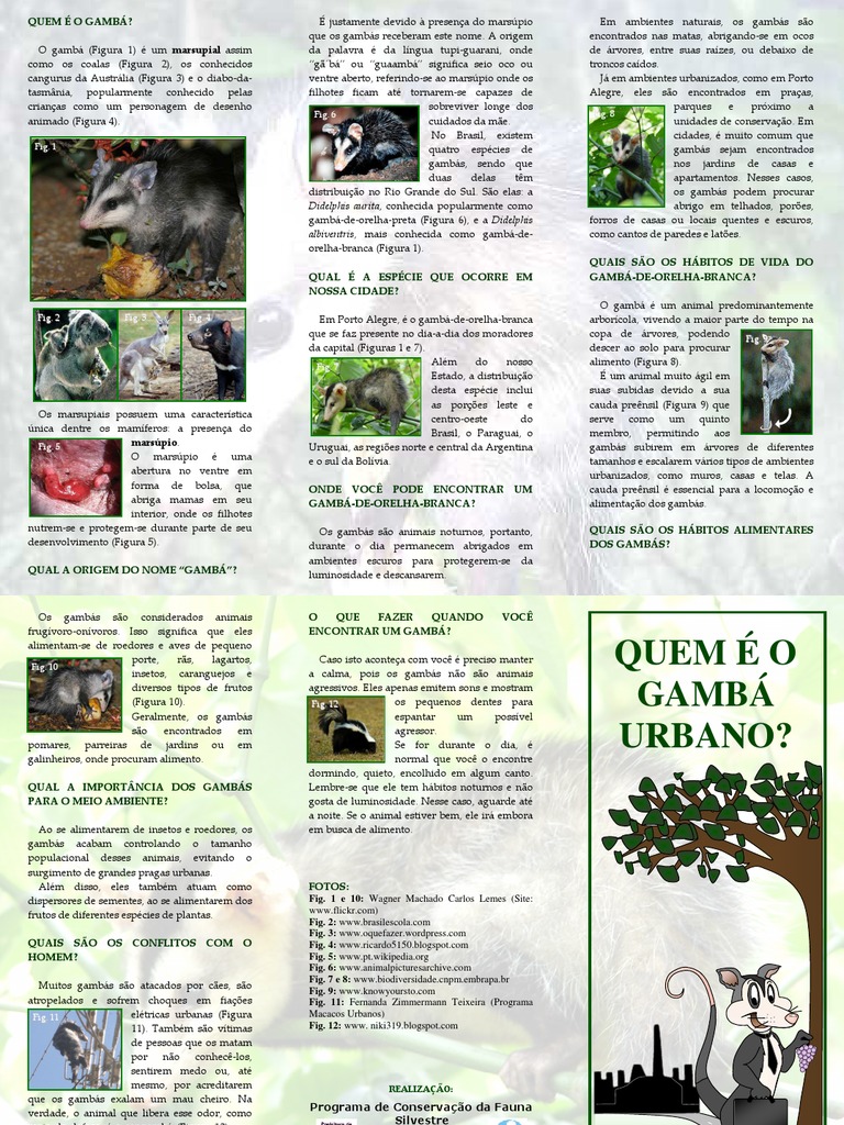 Folder Gamba | PDF | Natureza