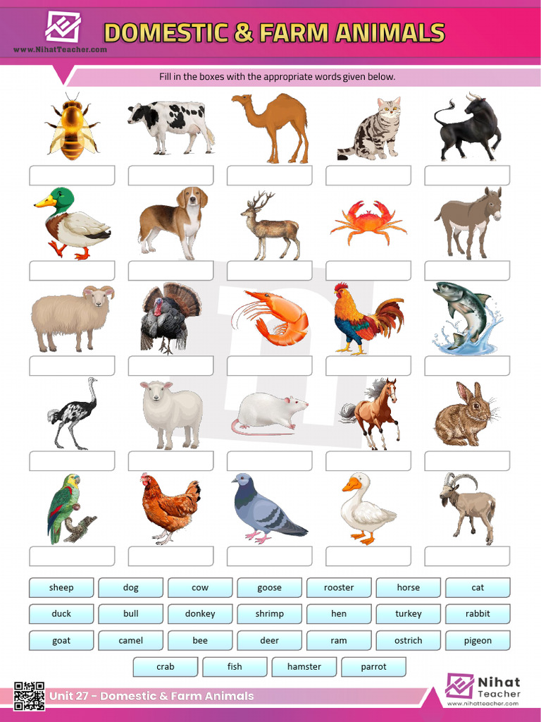 Domestic and Farm Animals Worksheet | PDF
