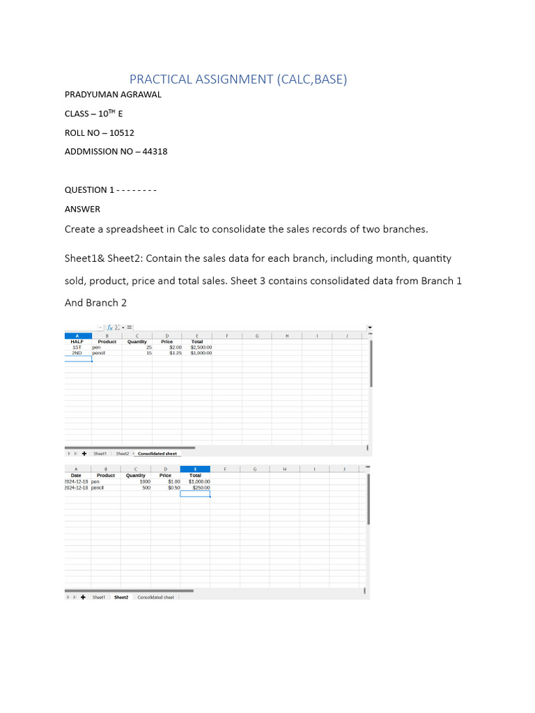 Practical Assignment | PDF