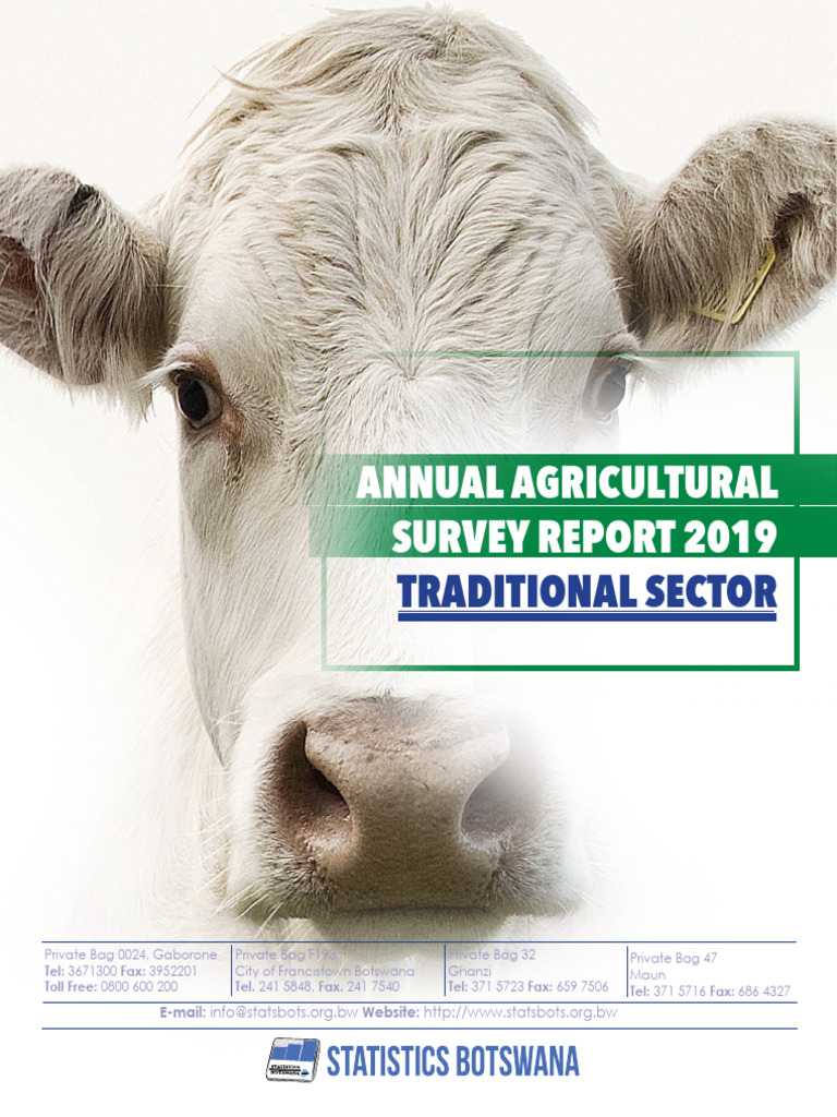2019 Cattle Survey Report Summary | PDF | Agriculture | Crops