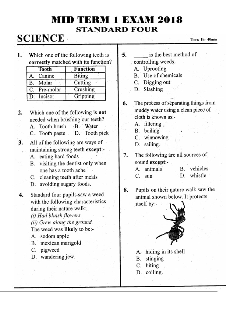 2018 Mid Term 1 Exam Answers | PDF