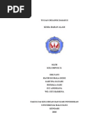 Download Kimia Bahan Alam Kelompok II by Salnus Nak Soleh SN82424513 doc pdf