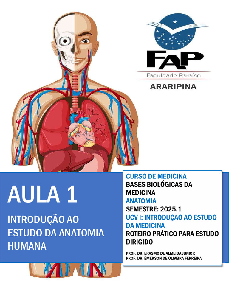 Introdução à Anatomia Humana 2025.1 | PDF | Anatomia | Corpo humano