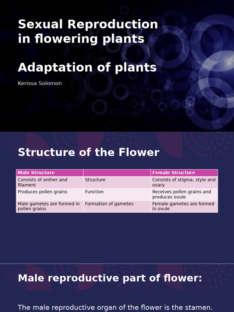 Sexual Reproduction in Flowering Plants | PDF | Flowers | Fertilisation