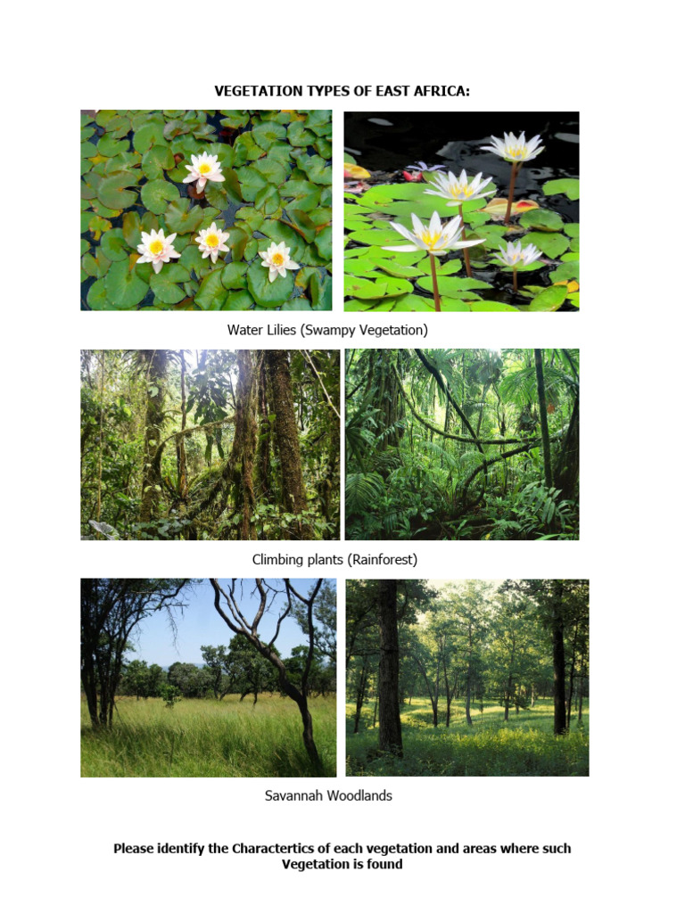 Vegetation Types in East Africa | PDF