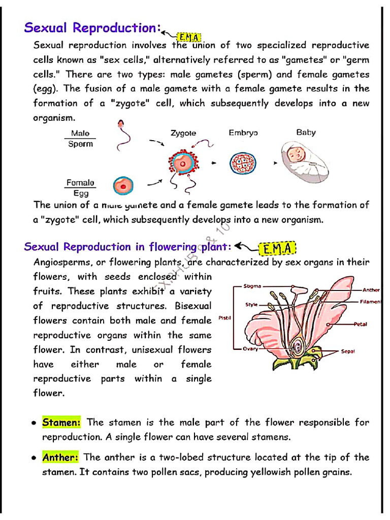 Reproduction Remaining Notes | PDF