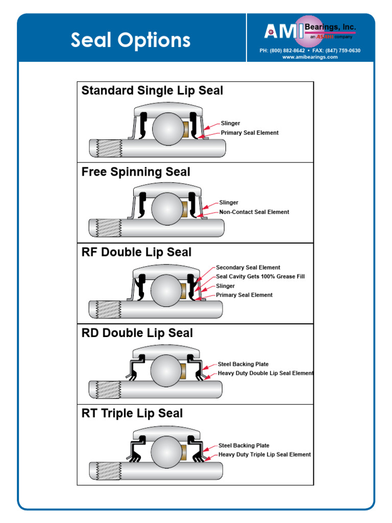 AMI Seal Options | PDF