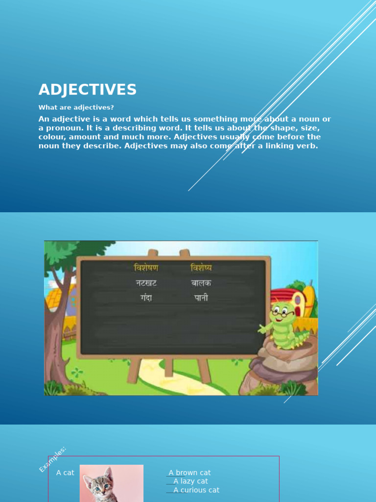 Understanding Adjectives: Rules & Examples | PDF