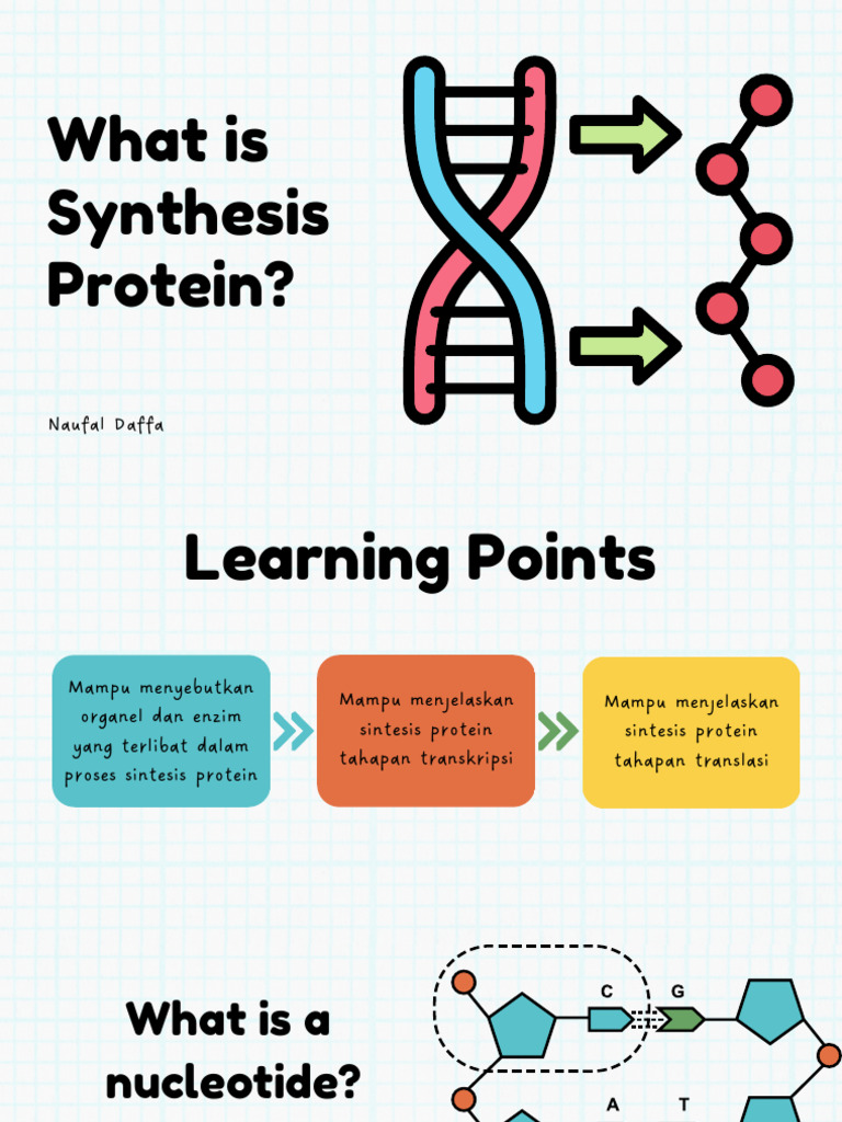 Tahapan Sintesis Protein Kelas 12 | PDF
