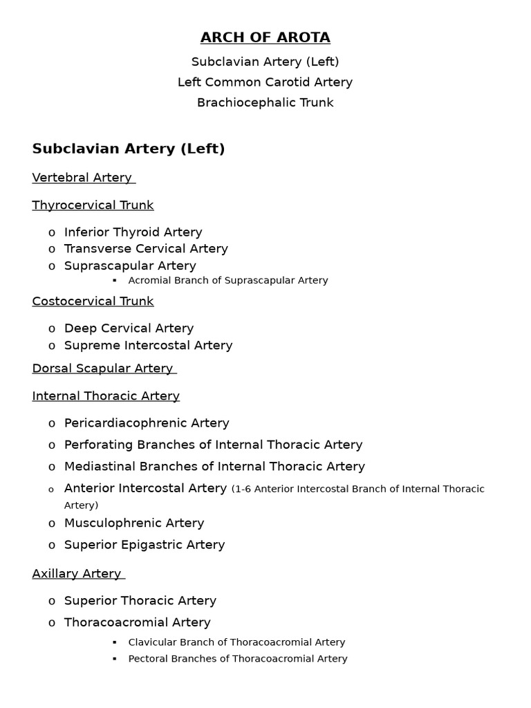 Comprehensive Guide to Major Arteries and Veins | PDF | Aorta | Common ...