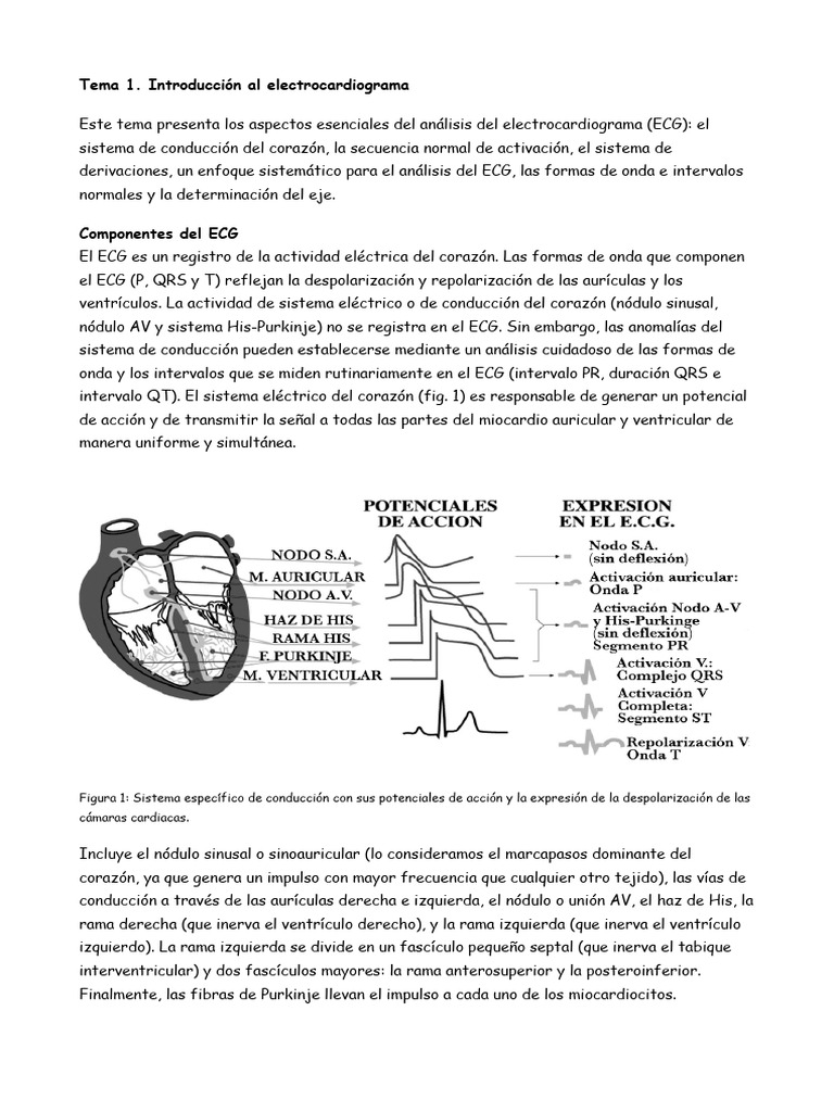 Tema+1+Introducci%C3%B3n+Al+Electrocardiograma+Texto | PDF | Medicina ...