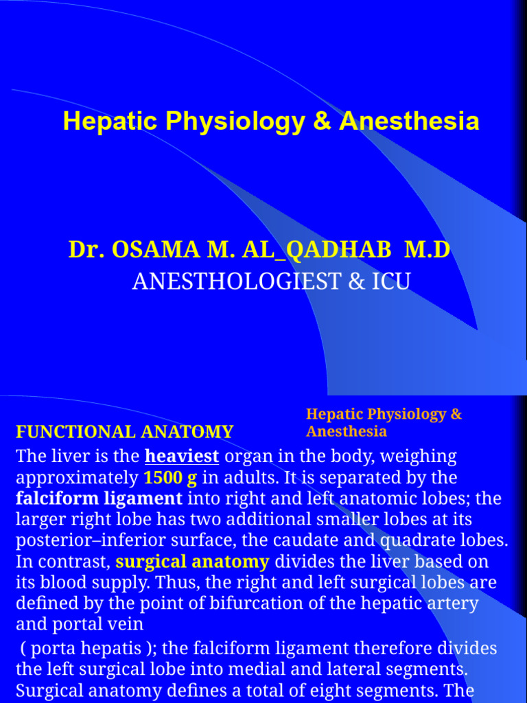 Liver Anatomy and Anesthesia Insights | PDF | Liver | Vein