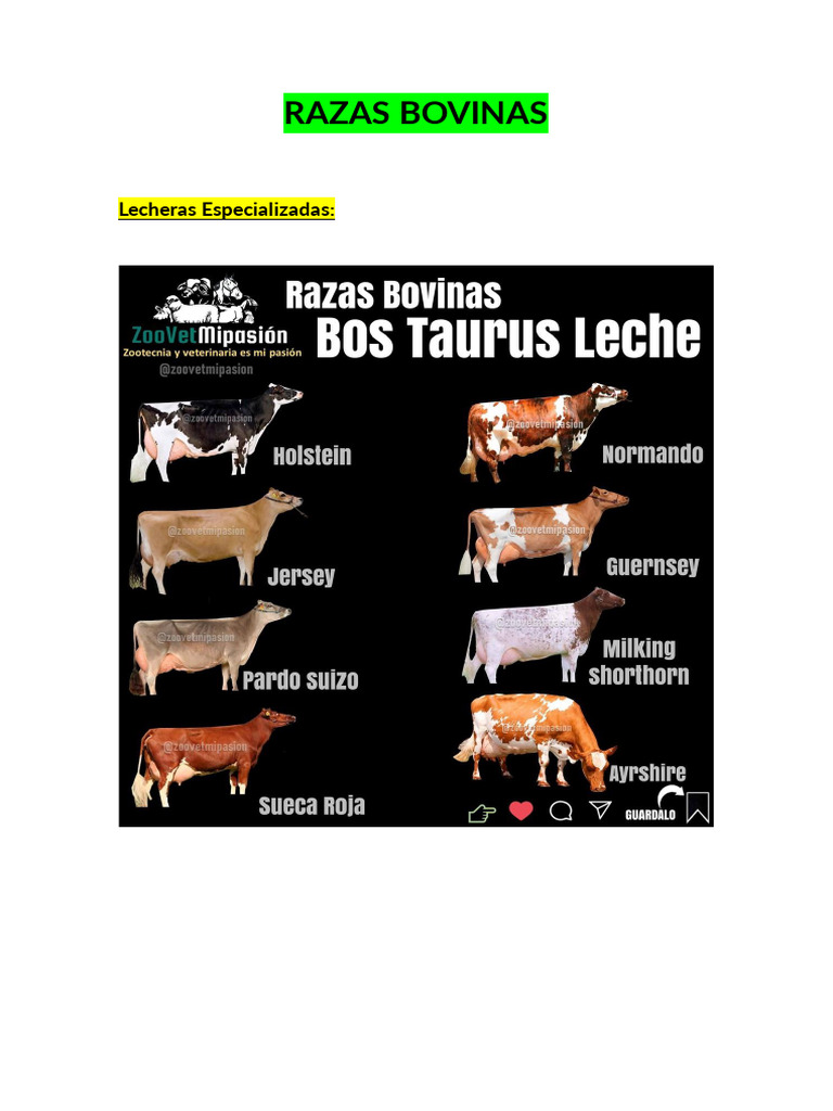 Razas Bovinas de Doble Propósito | PDF