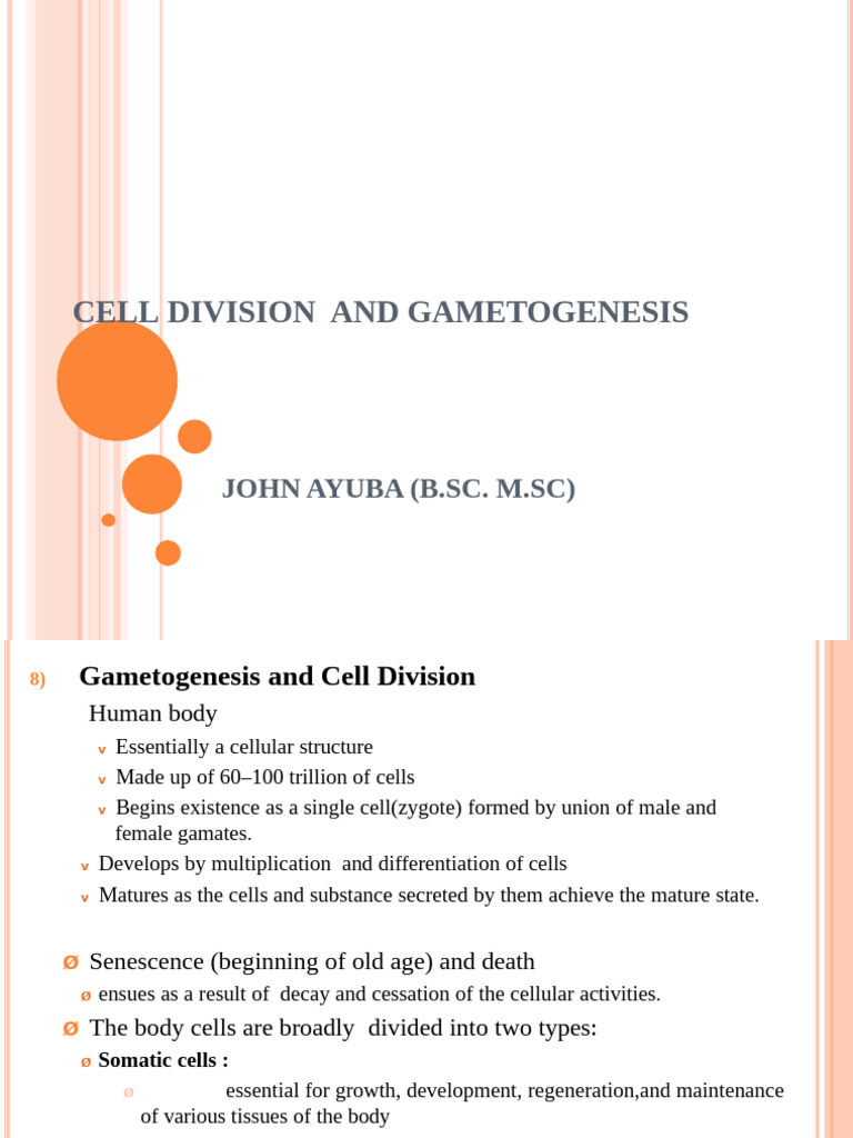 Gametogenesis and Cell Division Explained | PDF | Meiosis | Sperm